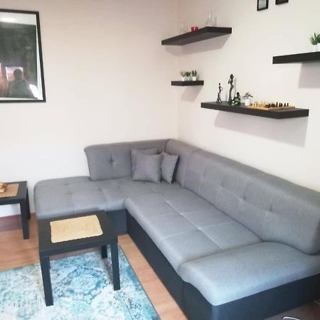 Viki Apartment Centar Ni Eksteriør billede