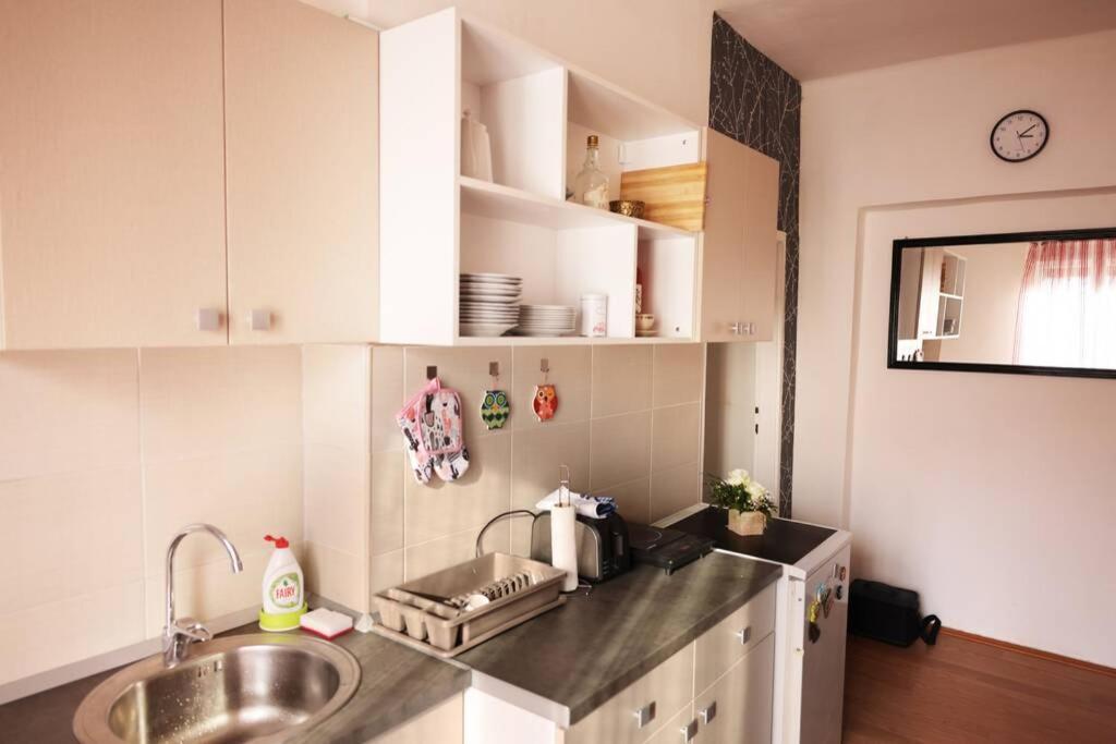 Viki Apartment Centar Ni Eksteriør billede