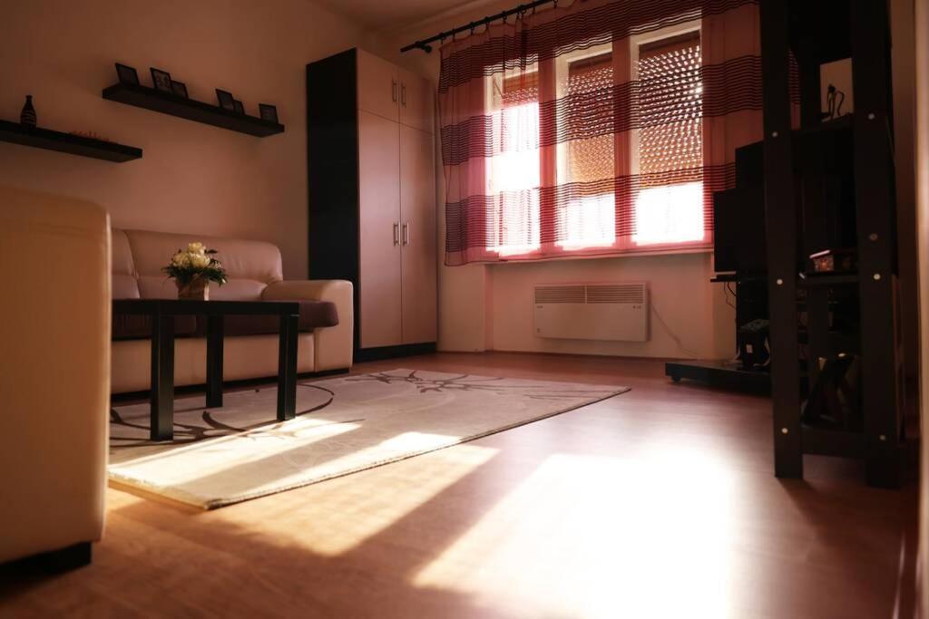 Viki Apartment Centar Ni Eksteriør billede