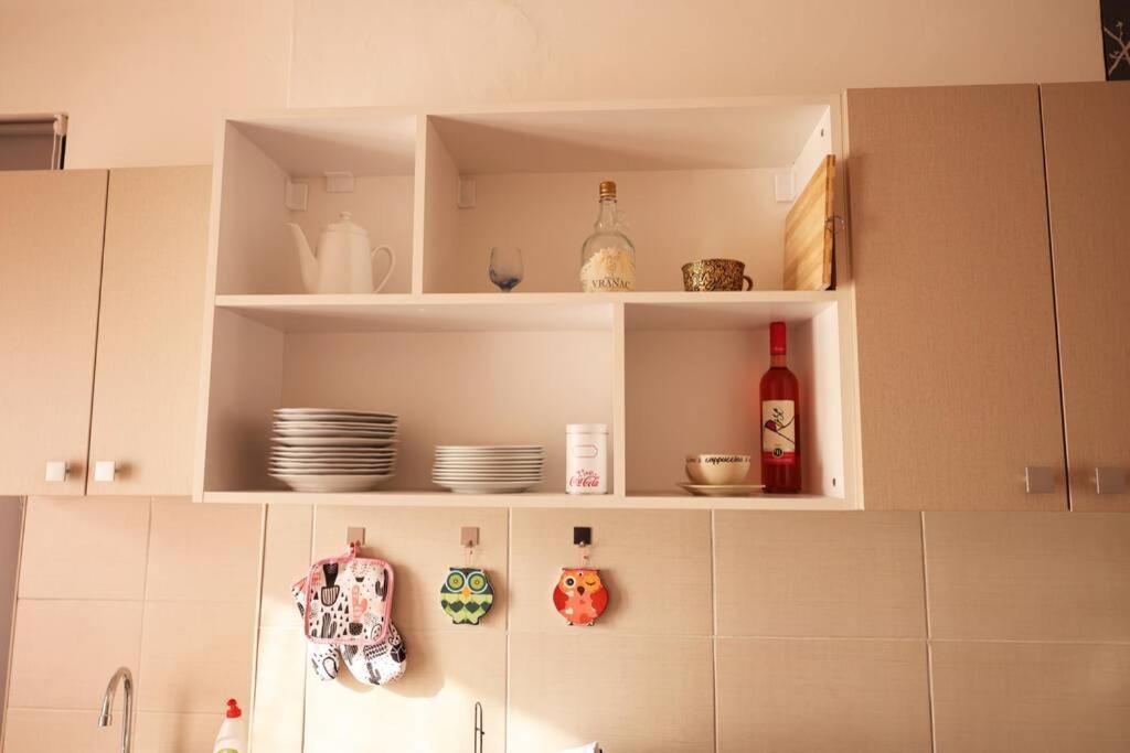Viki Apartment Centar Ni Eksteriør billede